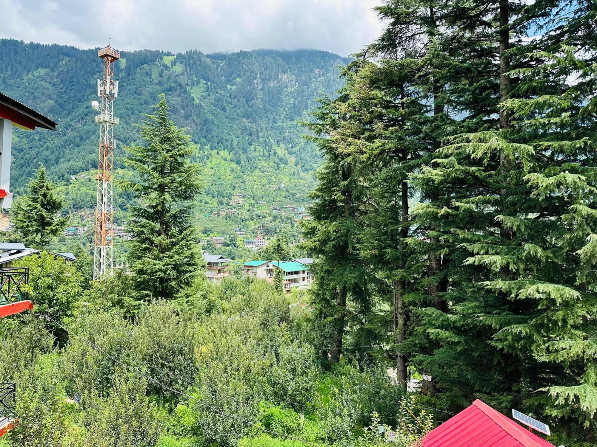 Red House Cafe Hotel - Manali (Himachal Pradesh) — Photos 3